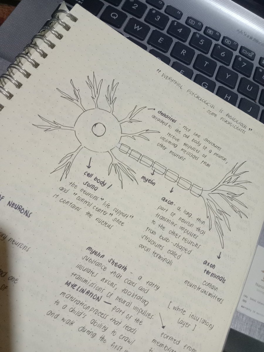 dreamyseptember's tweet photo. i was going thru my old files and found these lol #psychnotes https://t.co/JgRimltncH