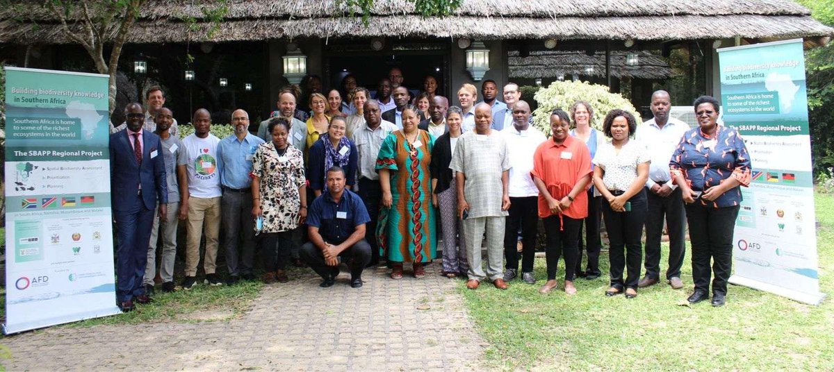 AFD_en's tweet photo. On 16 November, the #SBAPP Project, funded with @FFEM_Fr, was launched in #Mozambique in the presence of @FranceMaputo.
Its objective: to build & strengthen the #biodiversity knowledge base and promote collaboration on science in the region.
More 👉https://t.co/NjOdSsWWvk https://t.co/UprF6ekigZ
