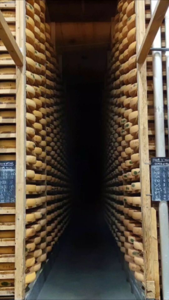 CharlyVandv's tweet photo. Le fromage c'est utiliser le lait pour créer le bonheur . 🧀 Cheese is using milk to create happiness. 🧀🧀🧀🧀🧀

#fromagerie #cavedaffinage #affinage #lecomté #fromagecomté #fortsaintantoine #metabief #doubs #Franchecomté #pontarlier #frenchcheese #c… https://t.co/GHkFxP5yX1 https://t.co/4FtlQbUUoQ