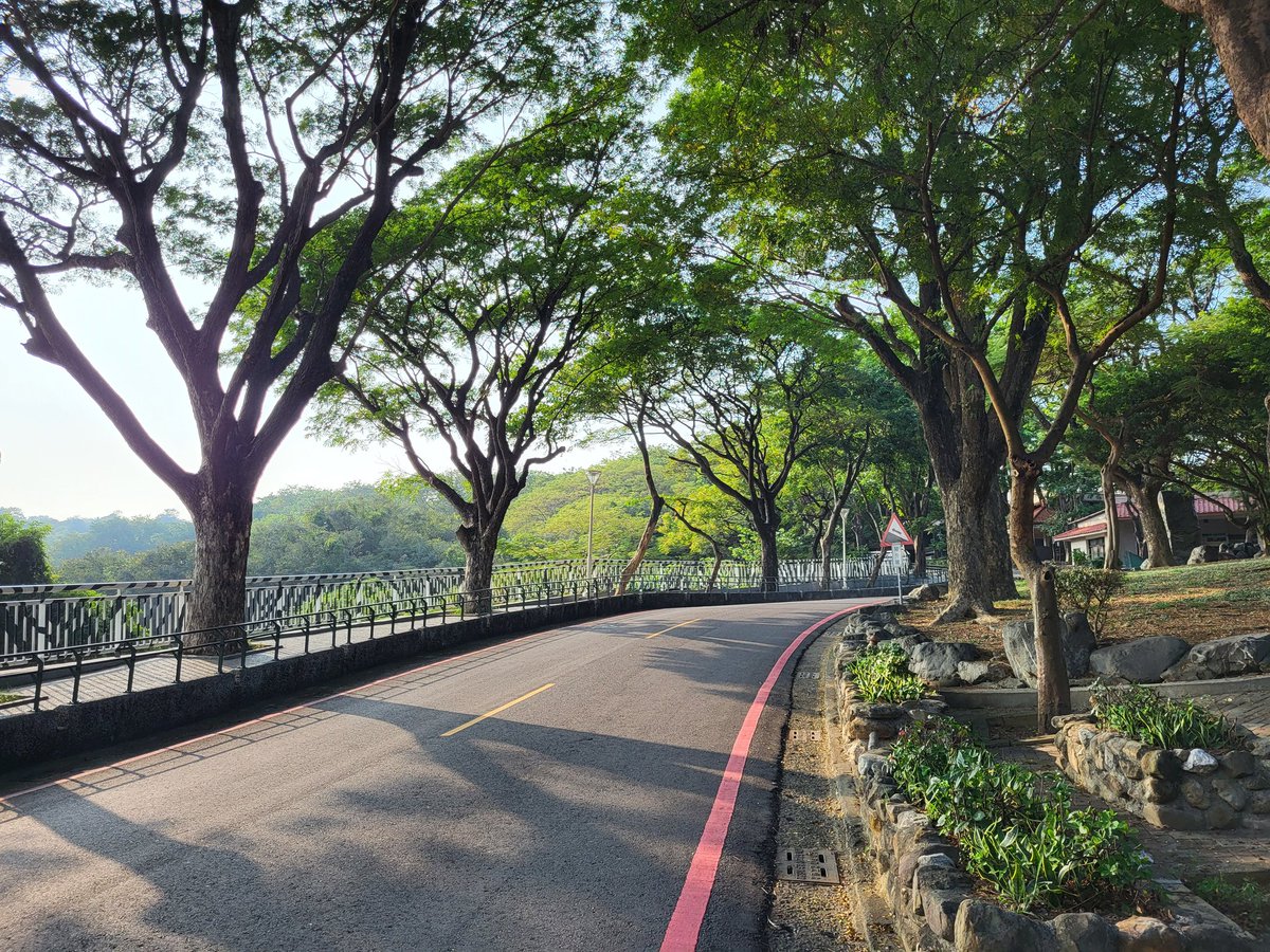 JerWeio's tweet photo. 午後斜陽
#streetphotography 
#高雄街景 https://t.co/NeK0MmsdLH