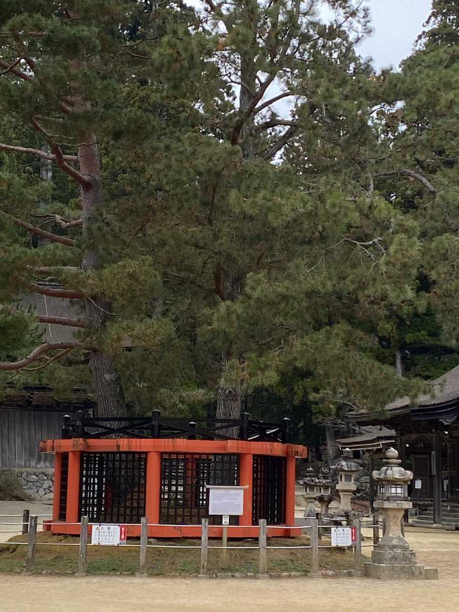 ①壇上伽藍②お土産にお勧めの「宝来」、霊能者が挙ってお勧めする開運グッズ✨③お大師様がエイヤッと浜から三鈷を投げたら刺さってたと言う松の木。三つ又の葉が拾えるのはここだけ④一周回すと八十八ヶ所巡りしたのと同じご利益があると言うアレ😅重いので数人で力を合わせるのがお勧め💪
#高野山 