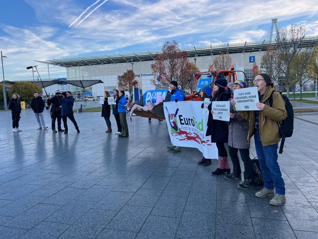 Le salon <a href="/EuroTier/">EuroTier</a> " visité " par des militants de l'association <a href="/PETA_France/">PETA France</a> 
porcmag.com/dossiers-et-sa…