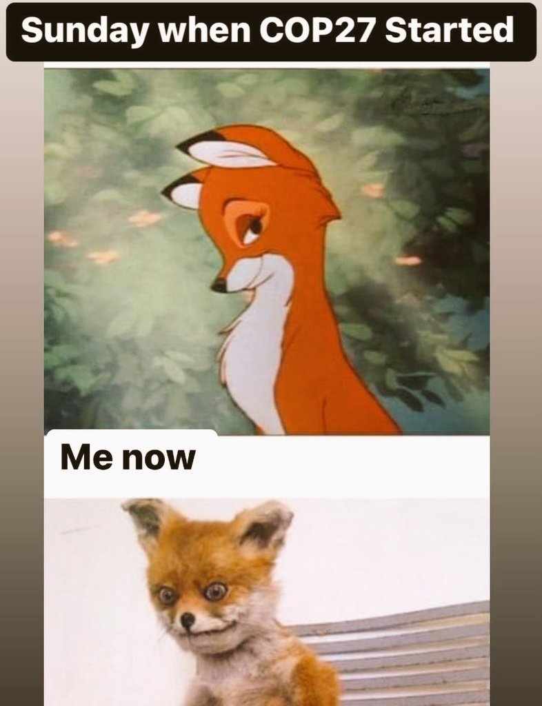 Can you relate? 
#COP27