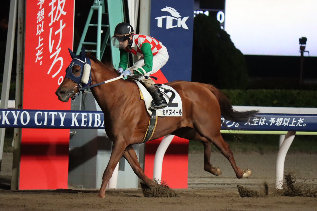 フランスゴデイナとセパヌイールの直接対決が早く見たい人←