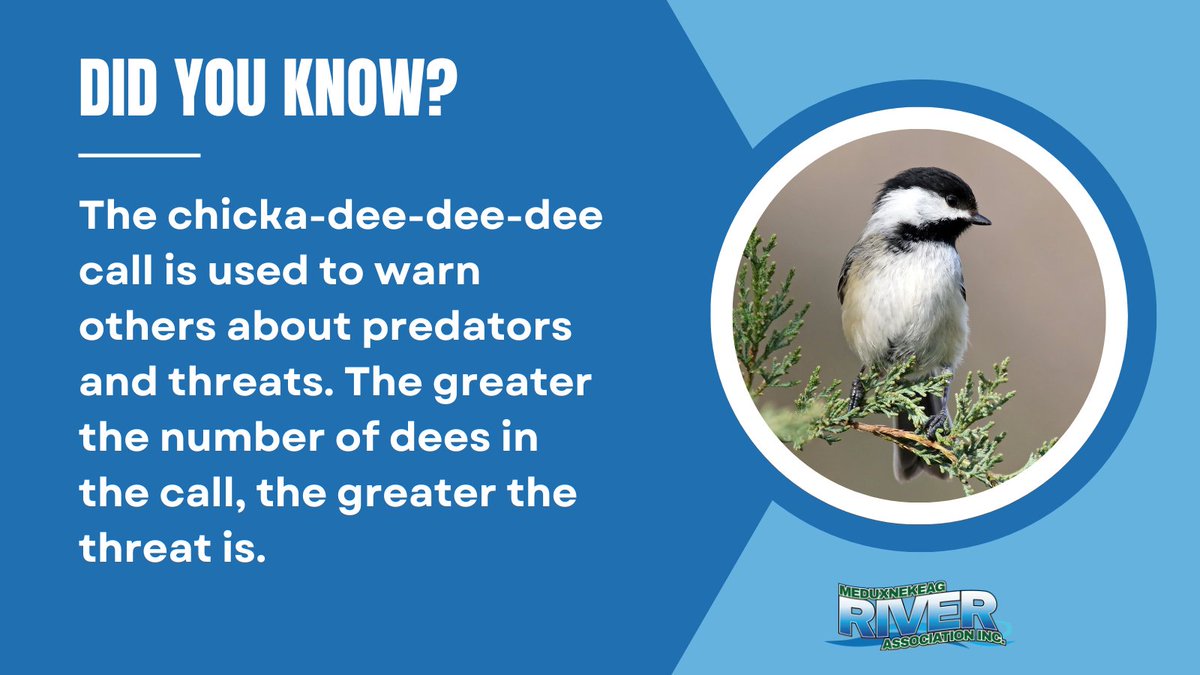 #dyk #didyouknow #FunFact