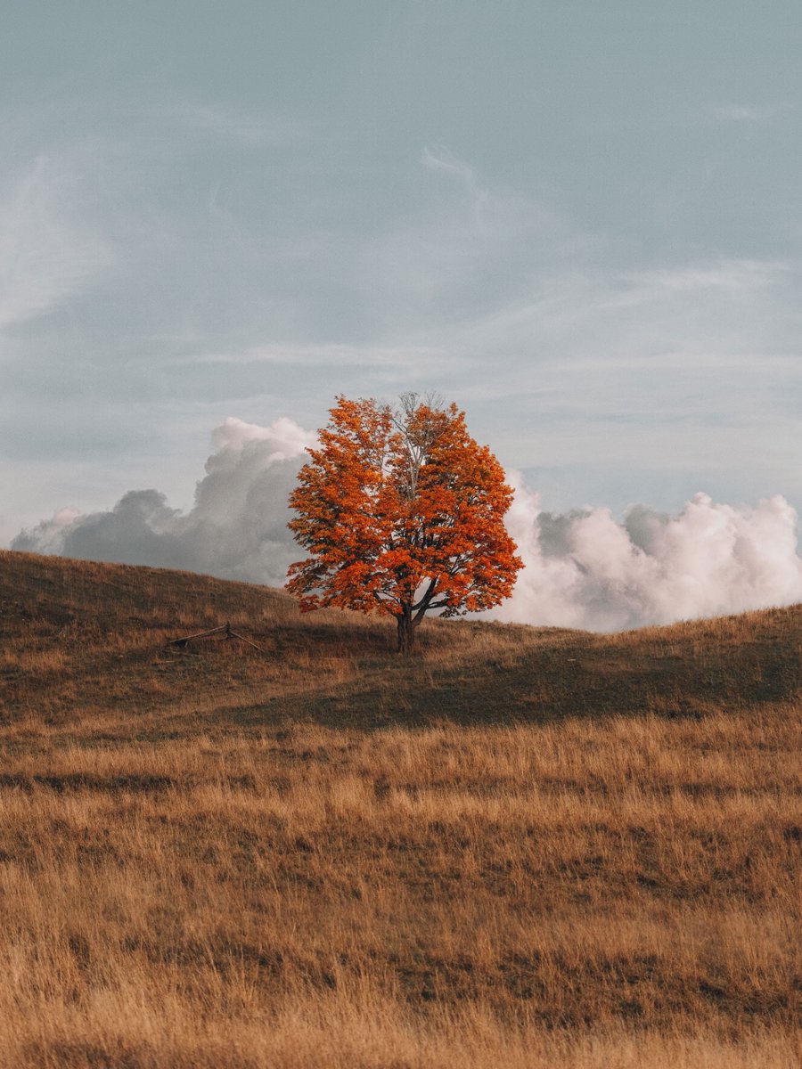 📷: <a href="/jonanthonyjames/">Jonanthony James</a> "Sometimes things just line up. I love looking for lone subjects and center framing them, it makes for serene photos." Alpha 7 IV  • Sony 200-600mm F5.6-6.3 G • #SonyAlpha