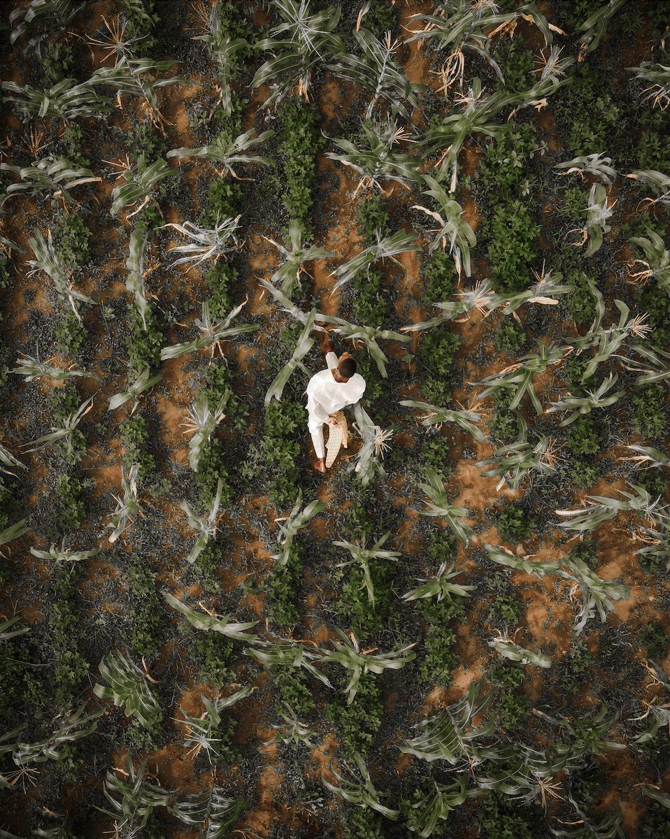 Adobe Lightroom tweet media