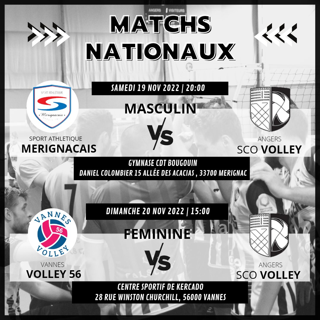 scoangersvolley tweet media