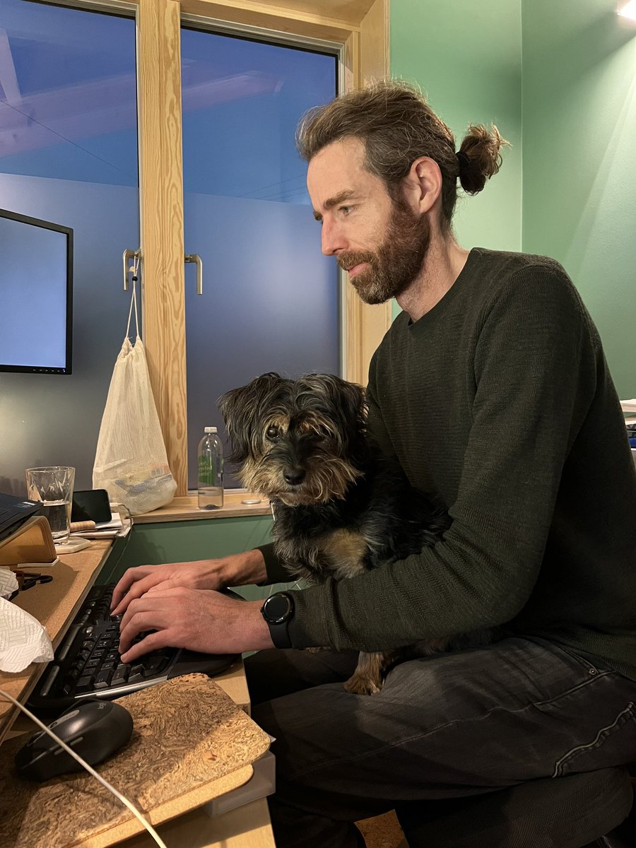 tamsin_bicknell's tweet photo. Yesterday I was wfh so I could help chair sessions at, and enjoy #FSRHVirtual2022, and these two champs were my colleagues for the day 😍 https://t.co/SRvC0mO1pO