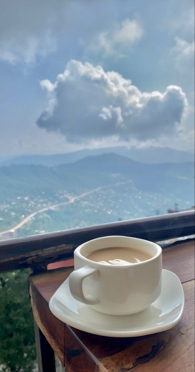 Chris Suazo tweet media