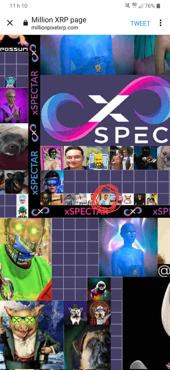 stevenberthele1's tweet photo. Glad to be part of history!
Thanks to @xrpAve for this awesome project!
#millionpixelwall
Wont be space available for long.
#Xrp #xSPECTAR #XRPArmy
#XRPCommunity https://t.co/jTKqerWusR