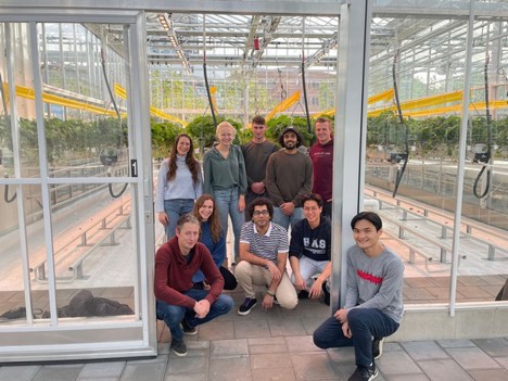 Horti Daily on Twitter: ""You have to be knowledgeable about the crop