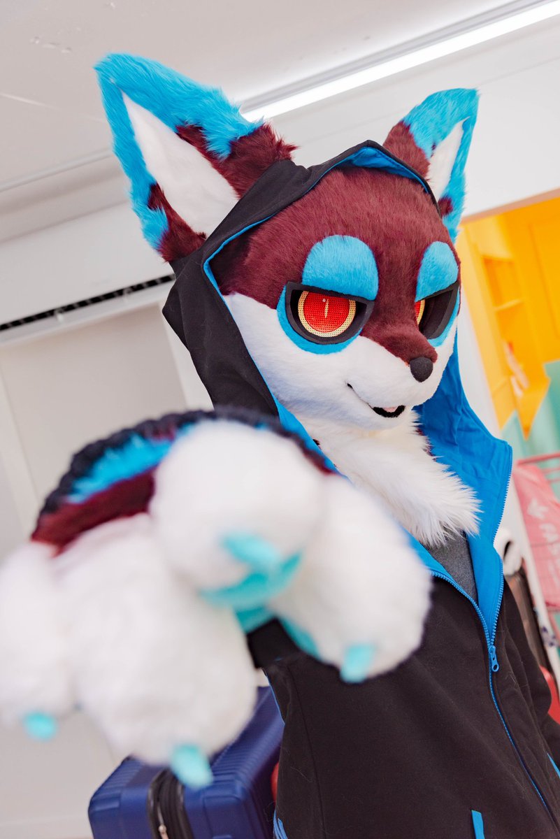 PERDION_PERDO's tweet image. 💥

📸 Photo @rocha_0181
✂️Maker @LikeaPalette

#Fursuit #LikeaPalette #PERDION #PERDO #FursuitFriday