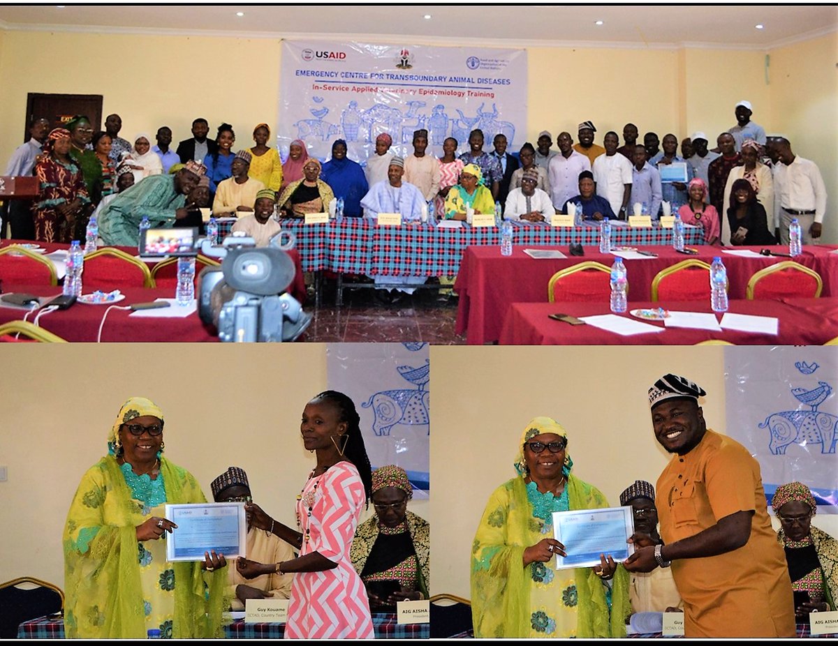 At the end of the 4-months @USAIDNigeria funded In-Service Applied Veterinary Epidemiology Training-ISAVET, a total of 60 frontline veterinarians are sufficiently skilled to improve disease surveillance in the country. “Eat, sleep and work epidemiology” @DrMaimunaHabib urged