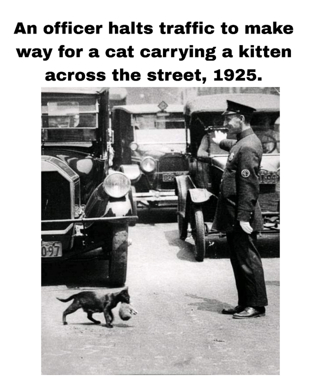 To Make Way For Meaning