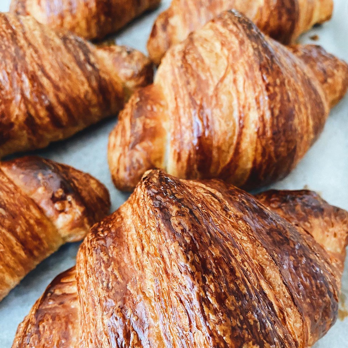 lolasbreadco's tweet photo. Freshly baked #croissants delivered right to your door? YES please!
Treat yourself to our decadent, buttery croissants this weekend 🥐
Just a tap away 👉 https://t.co/PUzRIrrEhH
#lolasbreadco #kwawesome #waterlooregion #kitchener #waterloo #pastries #brunch #dtkw #breslau https://t.co/RBu6k3RtEZ