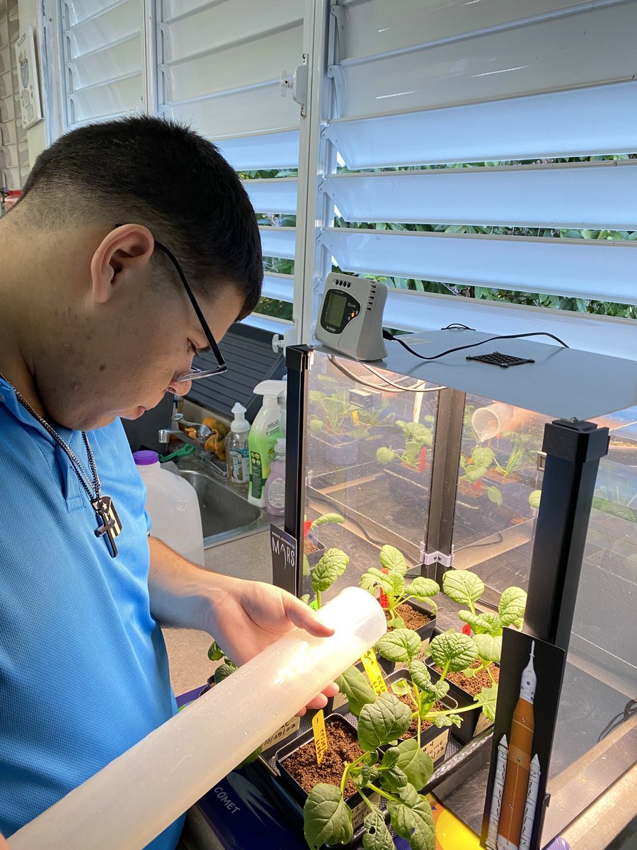 GBE 2022 Trial 1 Treatment A 100% white light 💡 Day 23 The final countdown! Today we didn’t found any cattlerpillar neither! 🙌🏽 All plants 🌱 are growing beautiful! @GrowBeyondEarth @NASASTEM @EDUCACIONPR @plantsinspace