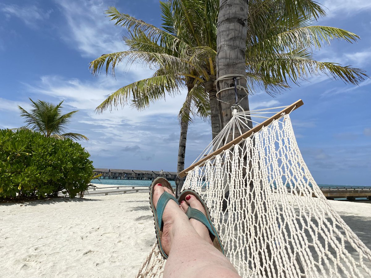JanetBookLady's tweet photo. It’s a tough life as a luxury travel consultant - but someone has to che k these places out! https://t.co/Ib1RqvelpX