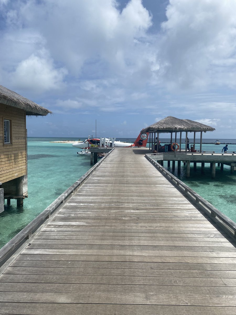 JanetBookLady's tweet photo. It’s a tough life as a luxury travel consultant - but someone has to che k these places out! https://t.co/Ib1RqvelpX