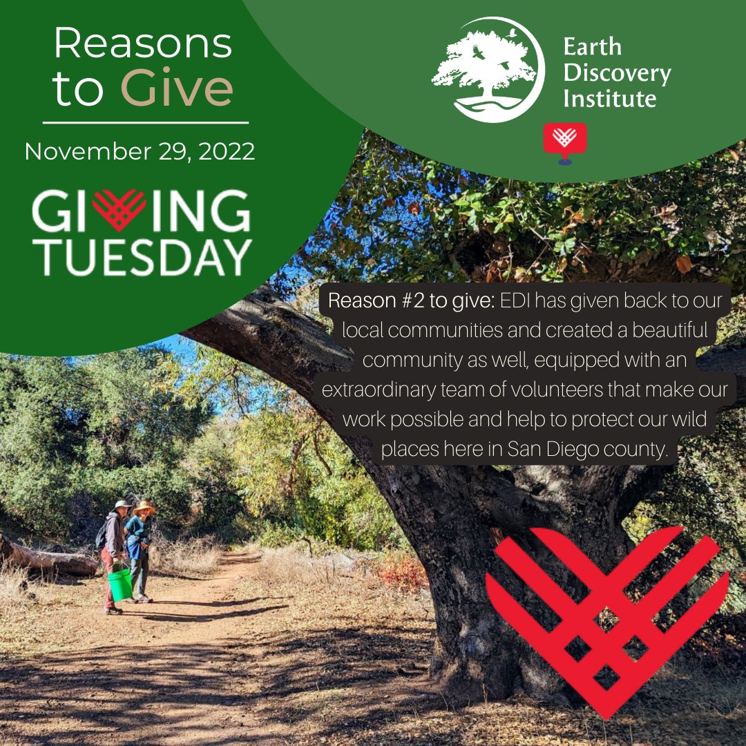 Earth Discovery Institute tweet media