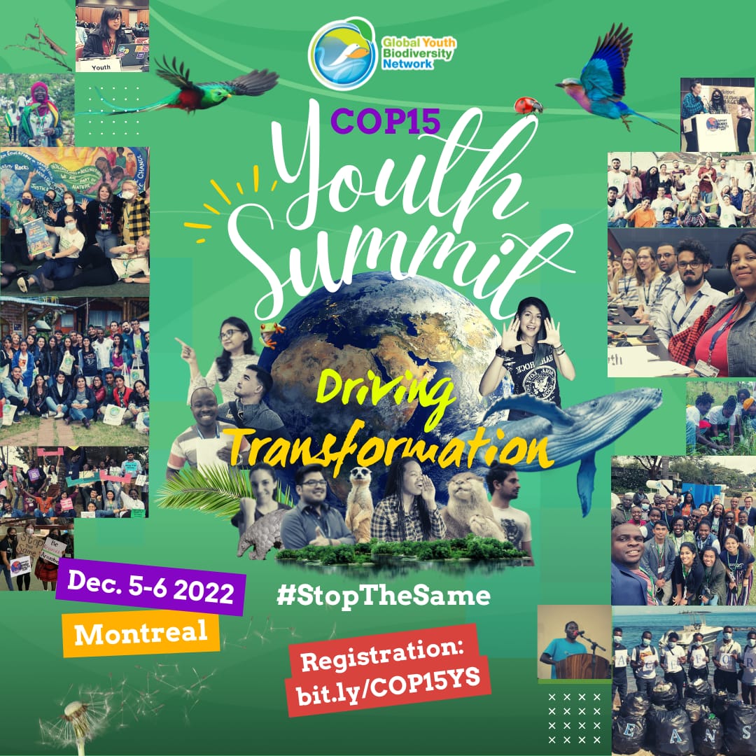 Join us at the #Youth Summit in #Montreal on Dec. 5-6!

Are you below 36 and wanting to join a youth-led event on #COP15 and biodiversity? This is your chance to be part of this incredible adventure

The number of spots is limited, please register under bit.ly/COP15YS