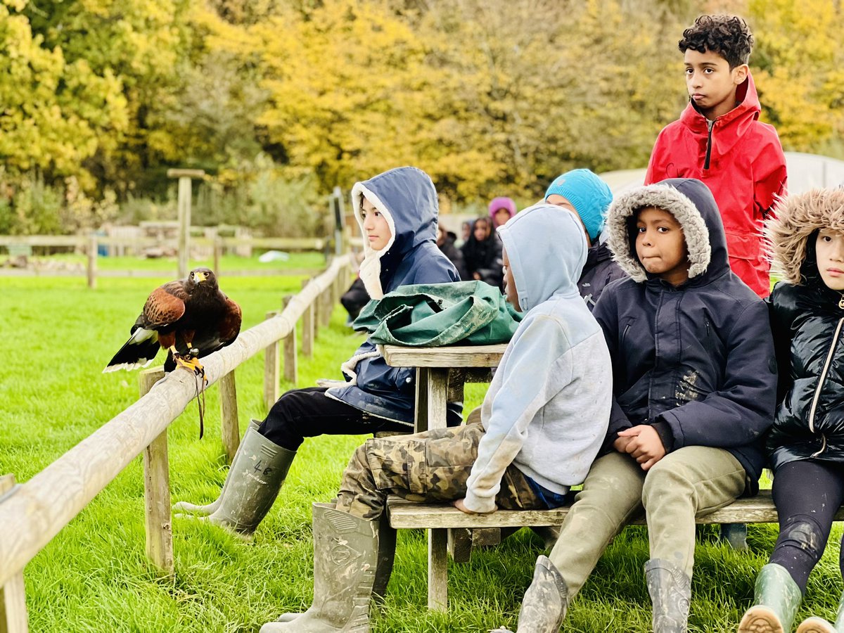 ⚠️#Year6 Kench Hill Update:
We had so much fun riding ‘The Big Red Tractor’ 🚜, playing at the Adventure Park, exploring the woodland; competing in the “Mysterious Marsh” obstacle course and watching the Bird 🦅 Show at the <a href="/rarebreedskent/">Rare Breeds Centre</a> 
#KenchHill <a href="/KenchHillCentre/">Kench Hill Charity</a>