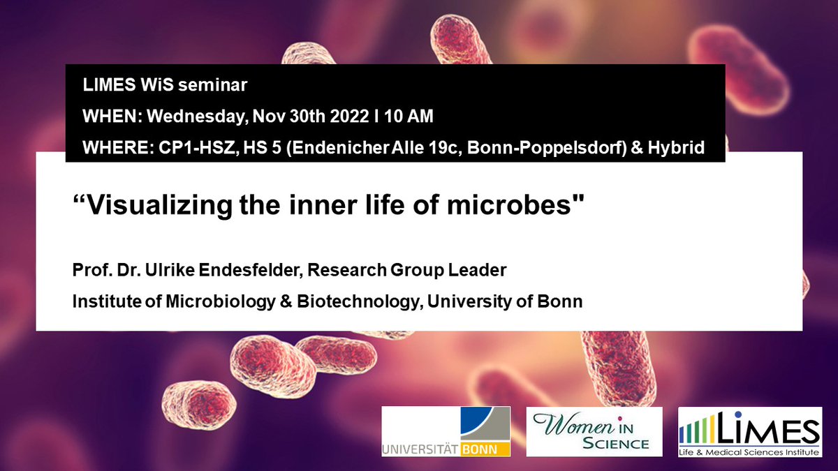 #limes_wis_seminar Don't miss our monthly seminar with Ulrike Endesfelder @UEndesfelder <a href="/UniBonn/">Rheinische Friedrich-Wilhelms-Universität Bonn</a> on Wednesday, 30th November at 10:00 AM in person (Hörsaalzentrum Poppelsdorf) ! More info below 👇 #microbes #microbiology #Biotechnology #Microscopy <a href="/LIMES_Bonn/">LIMES Institute Bonn</a> everybody can join !