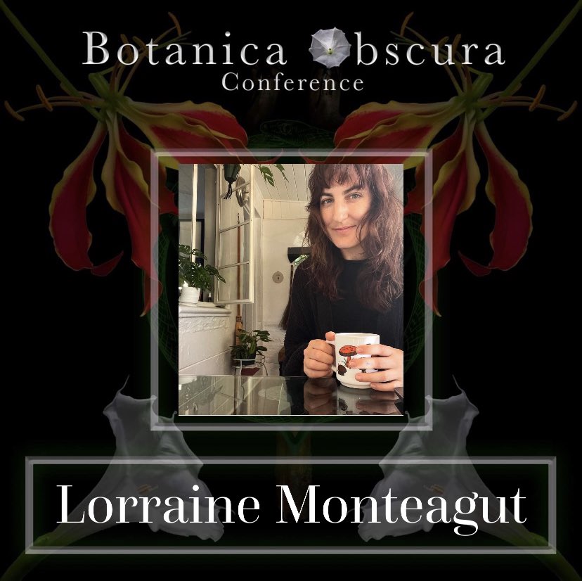 Poisonpath's tweet photo. Botanica Obscura Conference 2023 is proud to announce our next presenter Lorraine Monteagut !!!

#botanicaobscuraconference #plantspiritmedicine #plantspiritconference #poisonpath #psychedelicrenaissance #greenwitch https://t.co/Eq4h5z1cnt