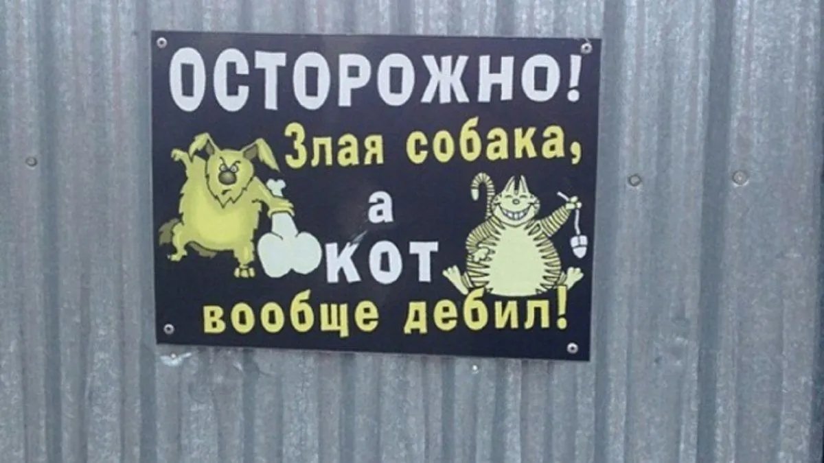 Осторожно злая собака а кот вообще дебил табличка