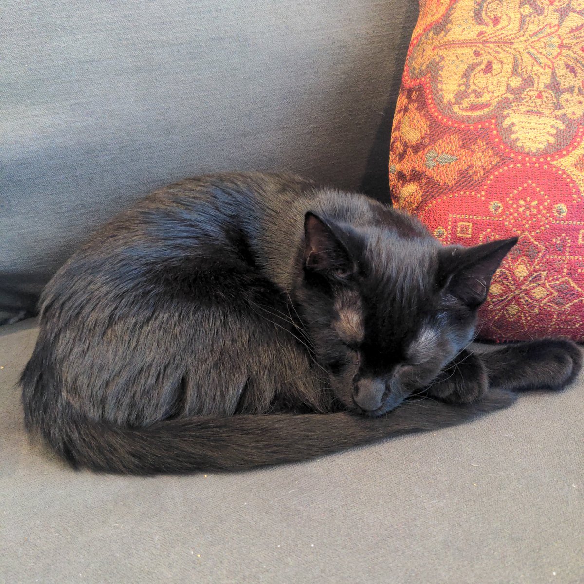 Collette J. (Mrs. J in the Library) tweet media