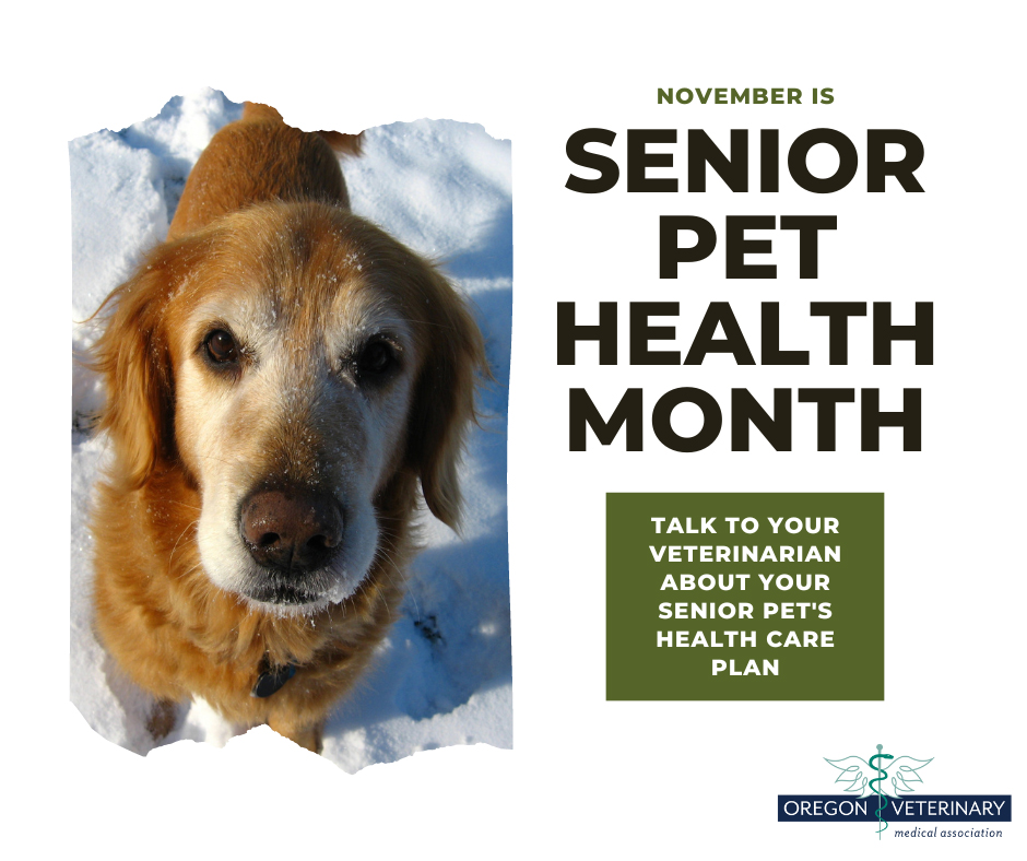 Tweet by Oregon Veterinary Medical Association