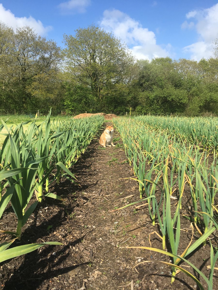 Farmers Of The UK tweet media