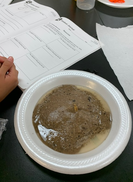 jbarbafisd's tweet photo. 3rd Grade Scholars in Mr. Chavez's class learned about landforms this week in our FES Science Lab! #handsonscience #stemscopesscience
#MoldingMinds @VamosVijil @FabensISD @SamanthaND58 https://t.co/9zeunkDHwr