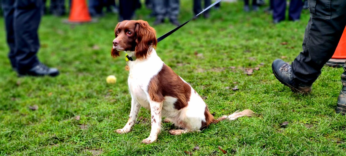 KMinsterCops's tweet photo. @Kidderminstercops, @K999Cops &amp; @WMerciaPolice  attended @followHTIS &amp; @WCESS , and completed several demonstrations using the dogs, knife board and impactive videos to discuss the effects &amp; consequences, actions &amp; reactions of knife crime. #OpSceptre #policingpromise https://t.co/aRGbTvcRz5