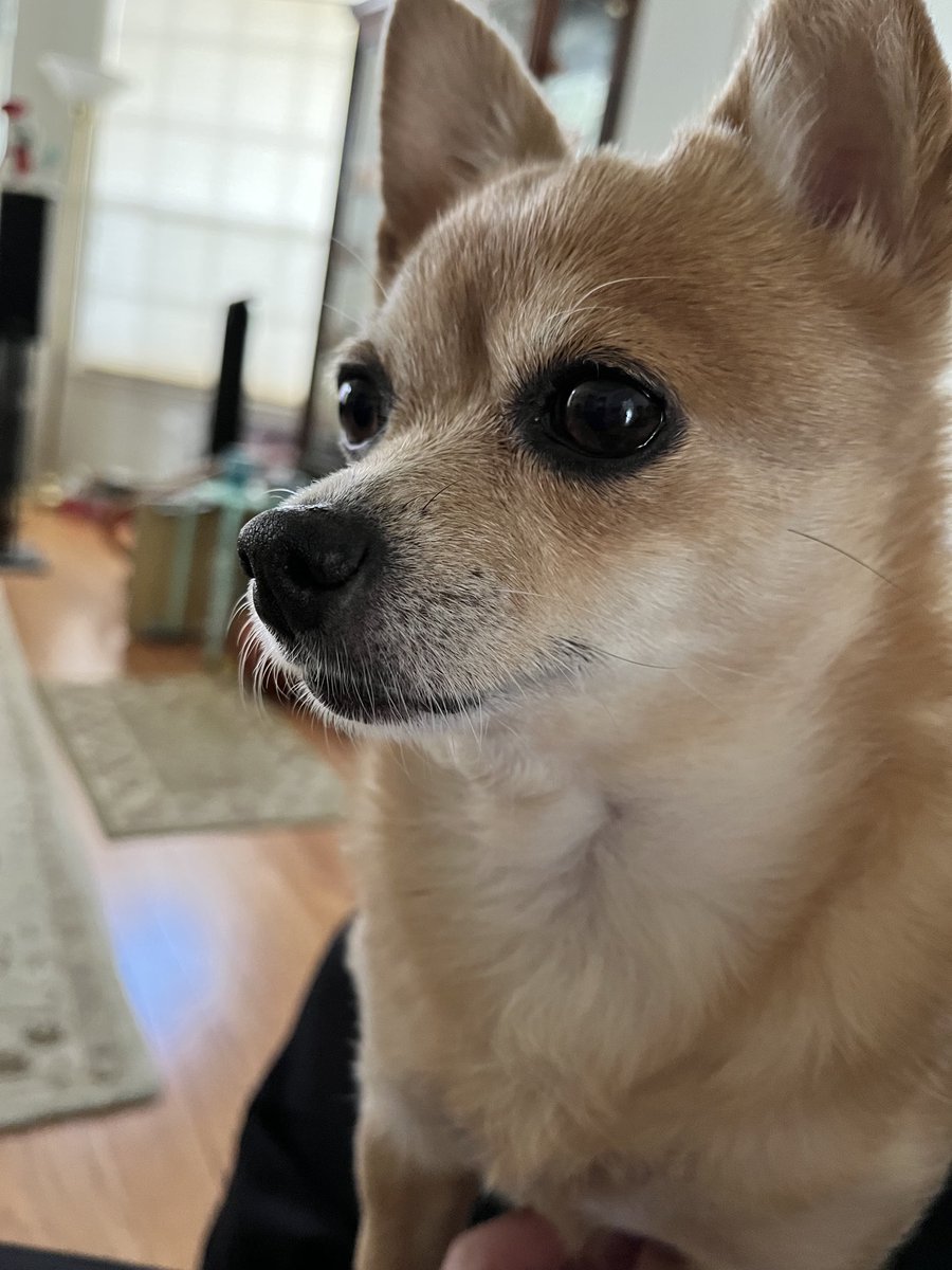 ContraBT's tweet image. 