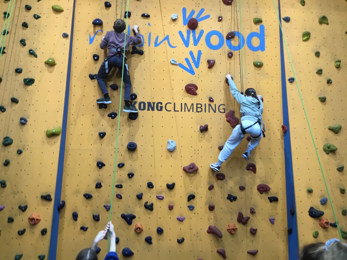 Excalibur Primary School tweet media