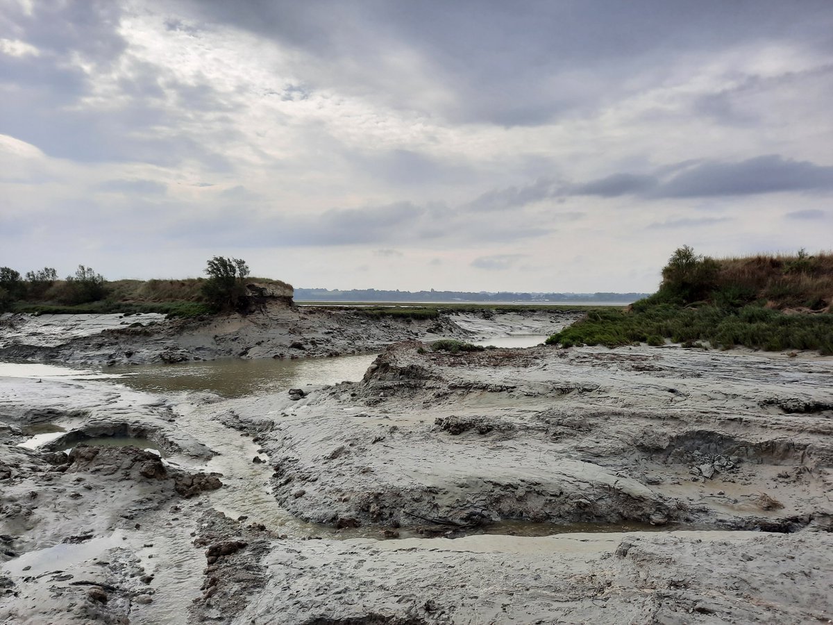 LoireBretagne's tweet photo. 🌊2 M d’euros pour lutter contre l’érosion de la #biodiversité marine
https://t.co/wfQ371e3gR
👉L’agence @LoireBretagne poursuit sa mobilisation pour la lutte contre l’érosion de la biodiversité #marine et l’adaptation des espaces littoraux aux effets du #changementclimatique https://t.co/7IHu40MB6I