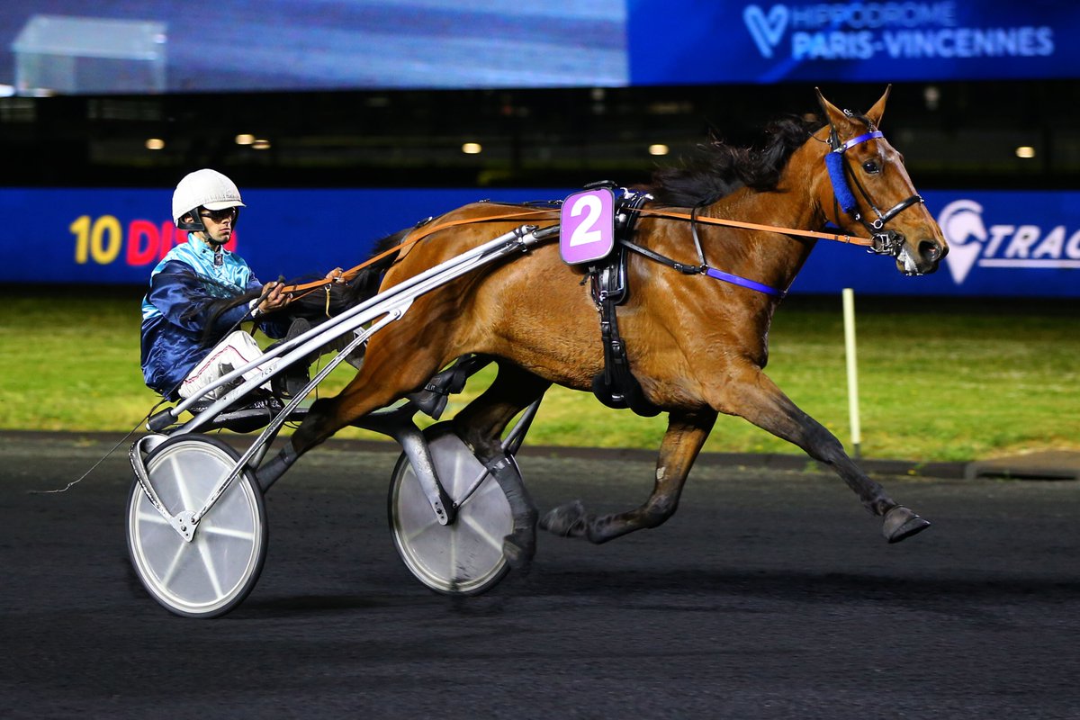 Ecurie Griff tweet media