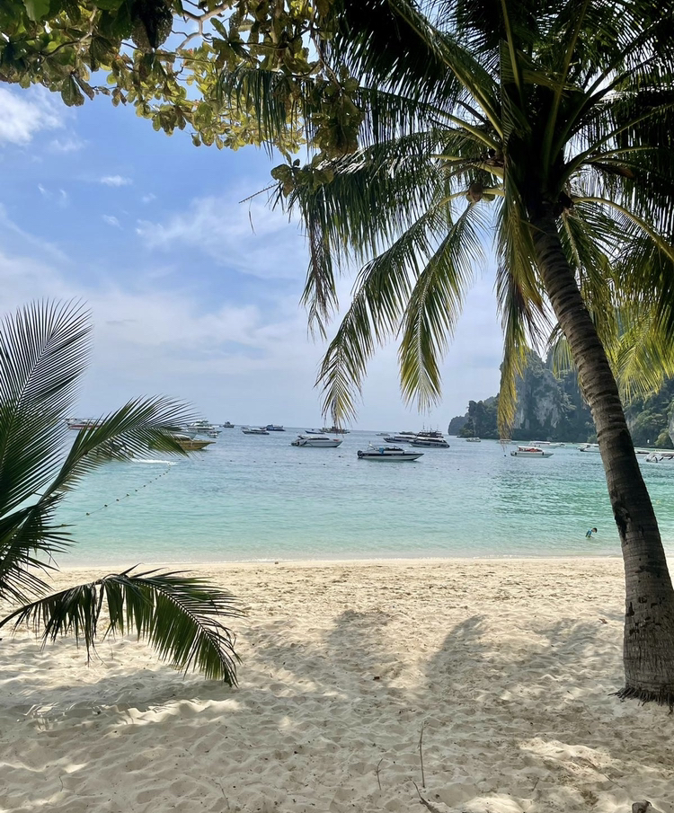 Throwback Thursday. 

To a time of sand, sun, and watersport vibes.

Community member - @dunkedcookie
TSC NFT holder of #1409
Location - Mexico

#ToxicSkullsClub #NFTCommunity #watersports #TSClifestyle #Mexico #StayToxic