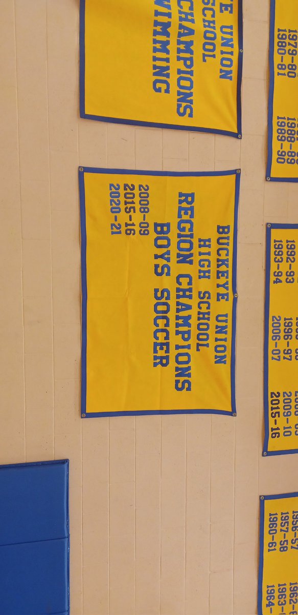 Finally got this beauty hung up in the gym!