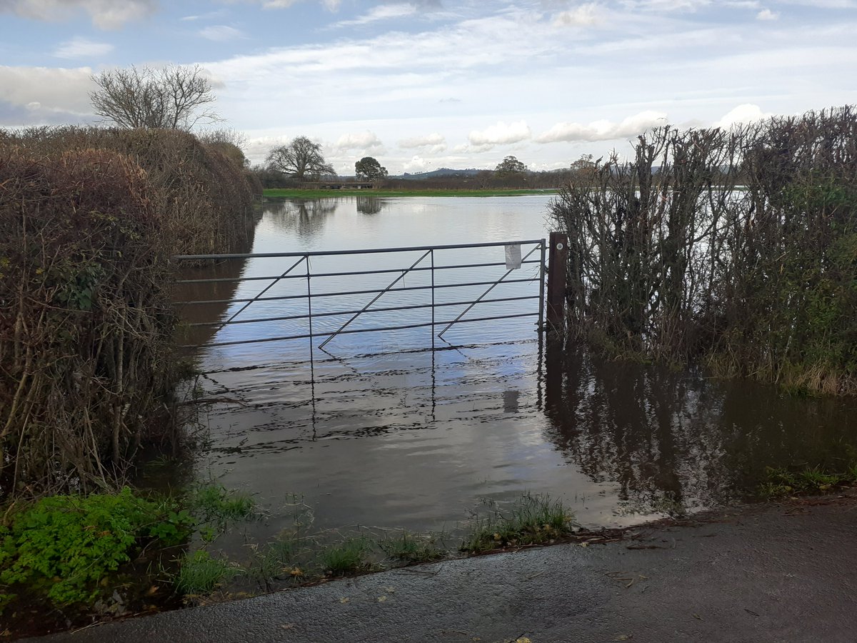 Mr. Thompson tweet media