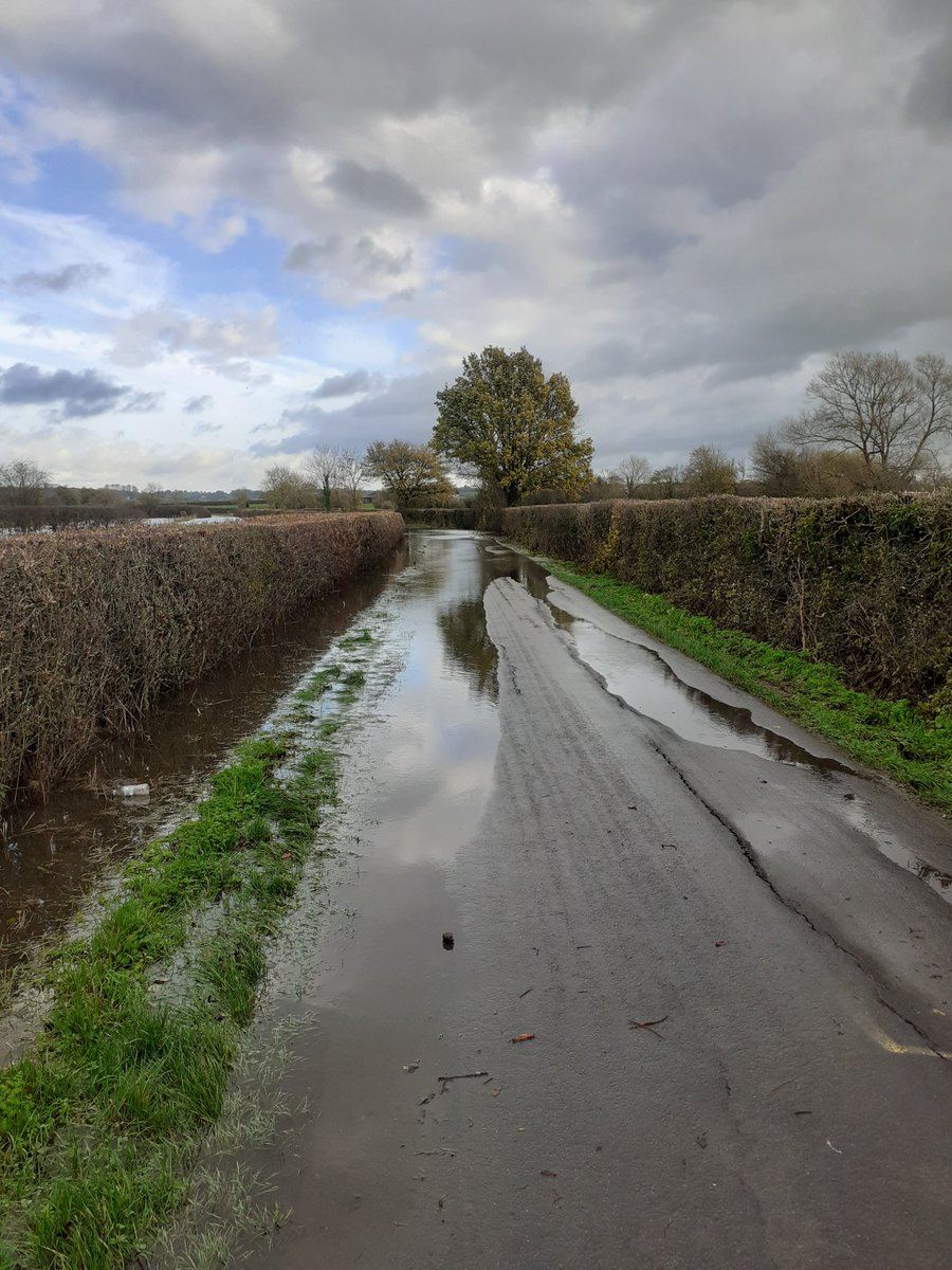 Mr. Thompson tweet media