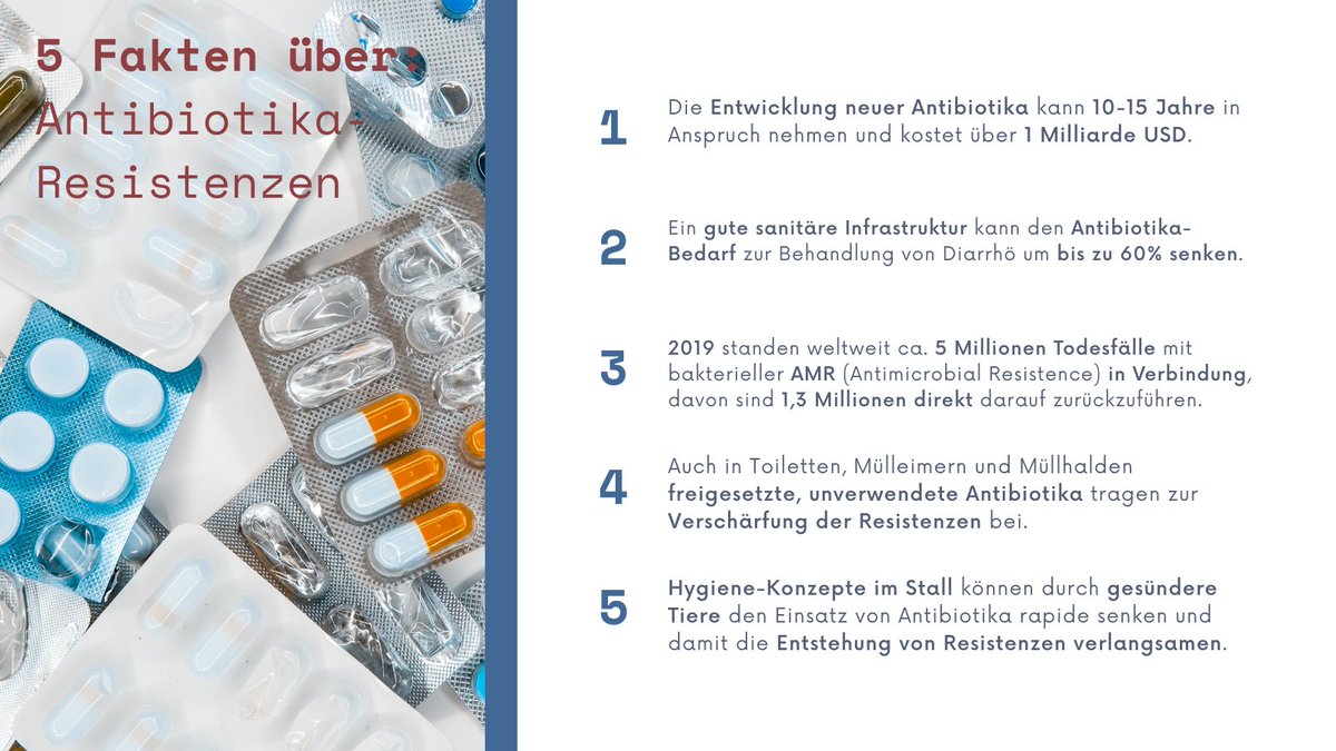 BioRegioN tweet media