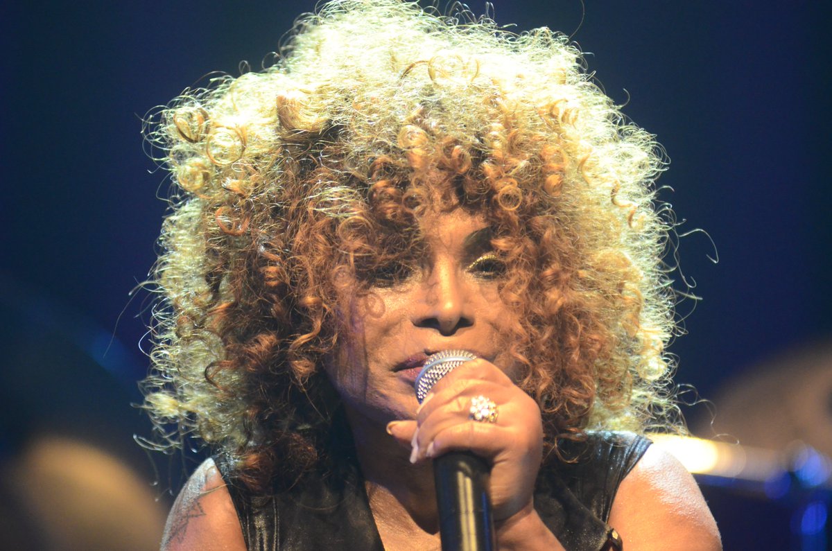 Auditório Ibirapuera tweet media