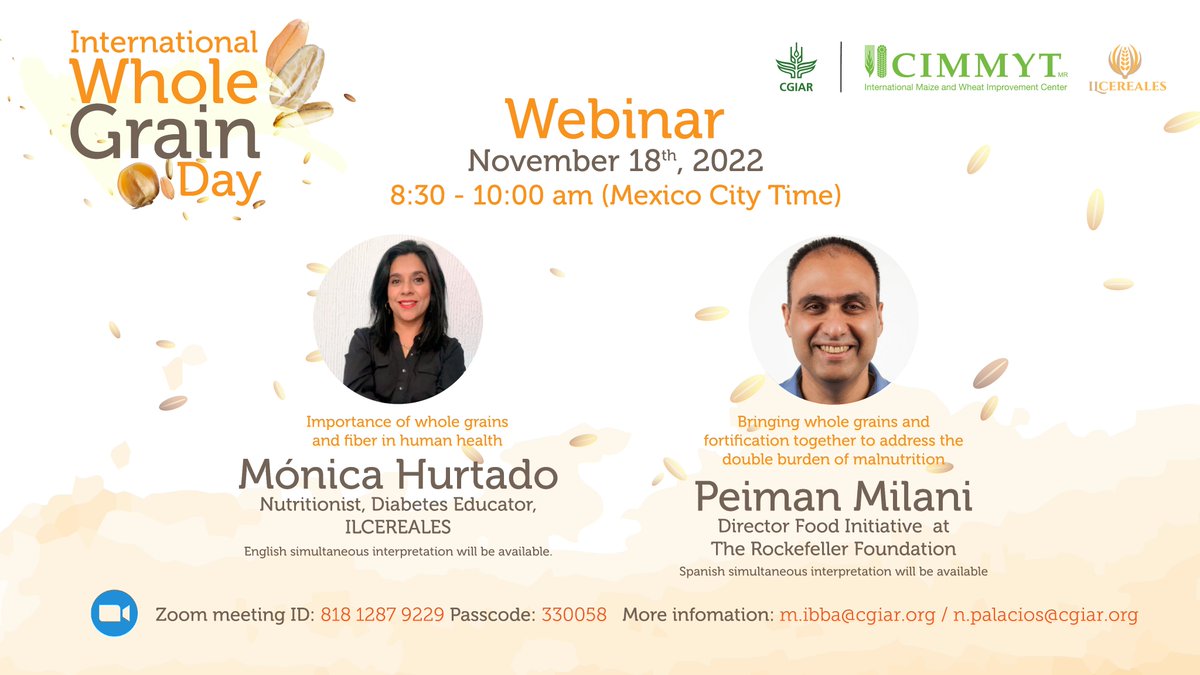 bramaccimmyt's tweet photo. Let's celebrate #InternationalWholeGrainDay. Join us in this double webinar to learn about bringing whole grains &amp; fortification together to address the double burden of malnutrition &amp; the importance of whole grains &amp; fiber in human health. Friday 18/11/22 https://t.co/H2rDOC5fnP https://t.co/bVSFgPGPhj