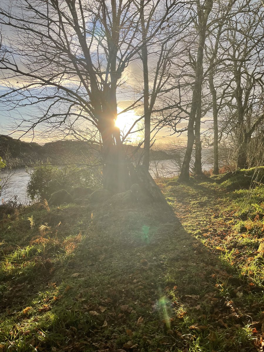 An early morning dog (and cat) walk to cheer the soul at the north end of Jura. #lussagin #dogwalk #ginsofscotland