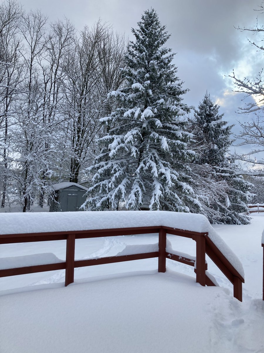 EricaBee 🐝 tweet media