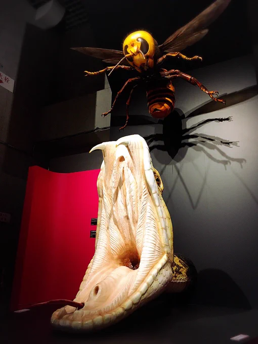 科博の特別展『毒』行ってきました面白かったけど人が多くてキャプション読むのに近づくの大変そうだったので音声ガイド借りました。ベニテングタケぬいも毒饅頭も売り切れ…ツキヨタケぬいは悩んだけど流石に丸太は嵩張るので諦めました。半割だったら買ってた。 