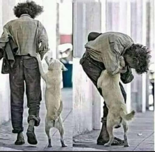 RealEarlyRiser's tweet photo. مخلوق خدا نال پیار تے کر ،
رب صرف مسیت وچ نئی لبدا ۔ https://t.co/gQt8Lb3oGE