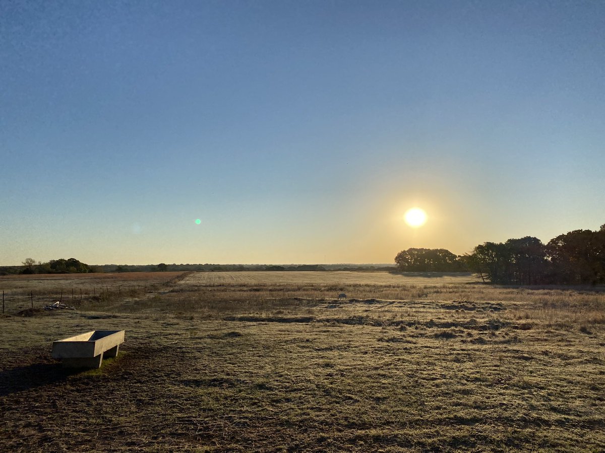 Disciple275's tweet image. Hello frosty morning ☀️